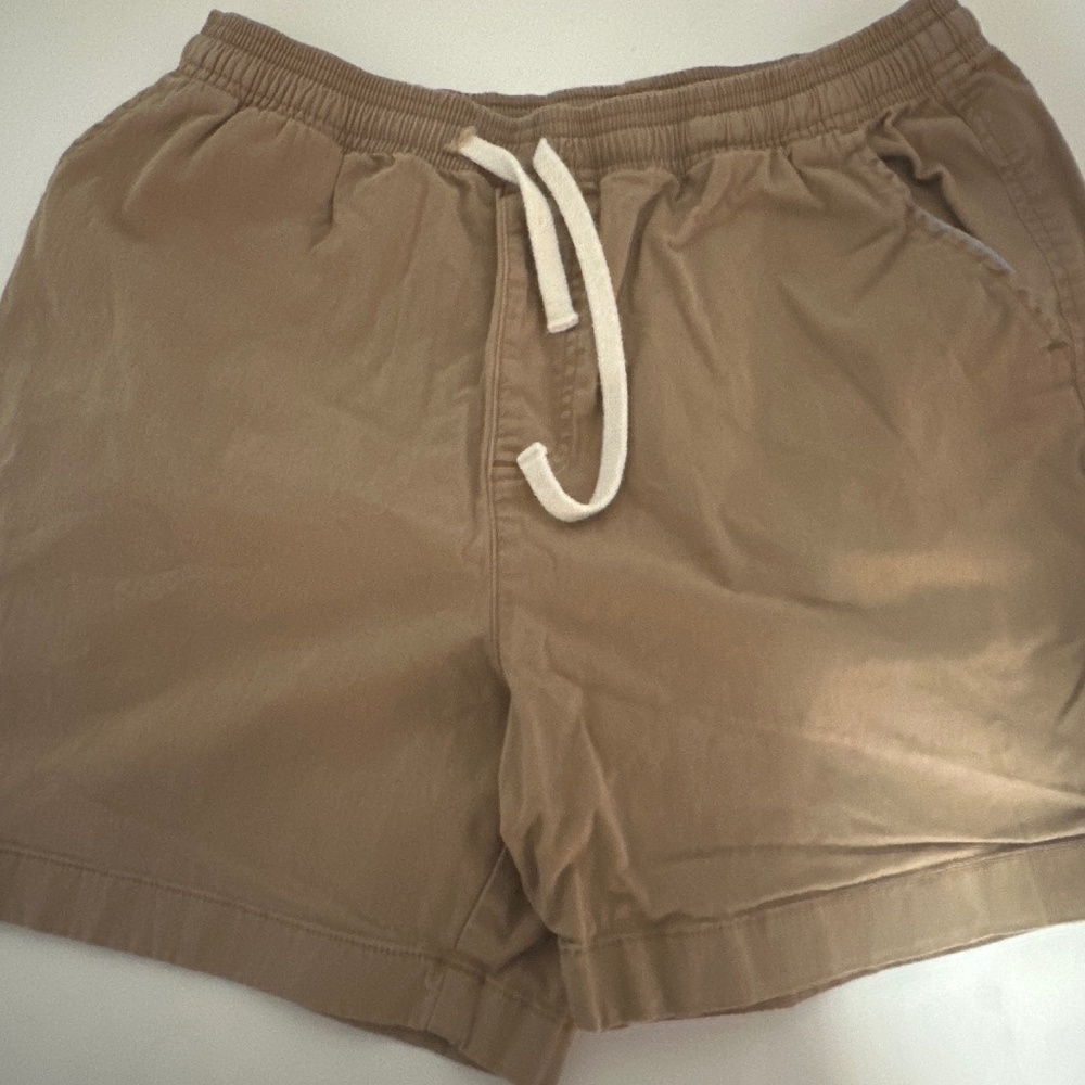 Chubbies Shorts